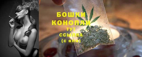 PSILOCYBIN Абдулино
