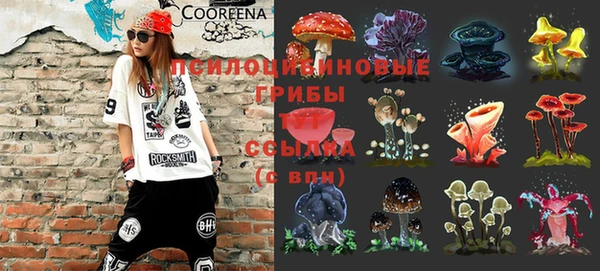 хмурый Абинск
