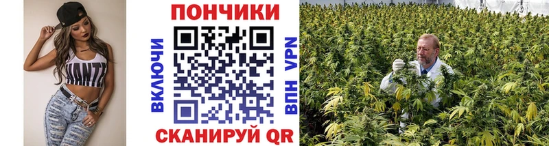 Бошки Шишки Amnesia  Алдан 